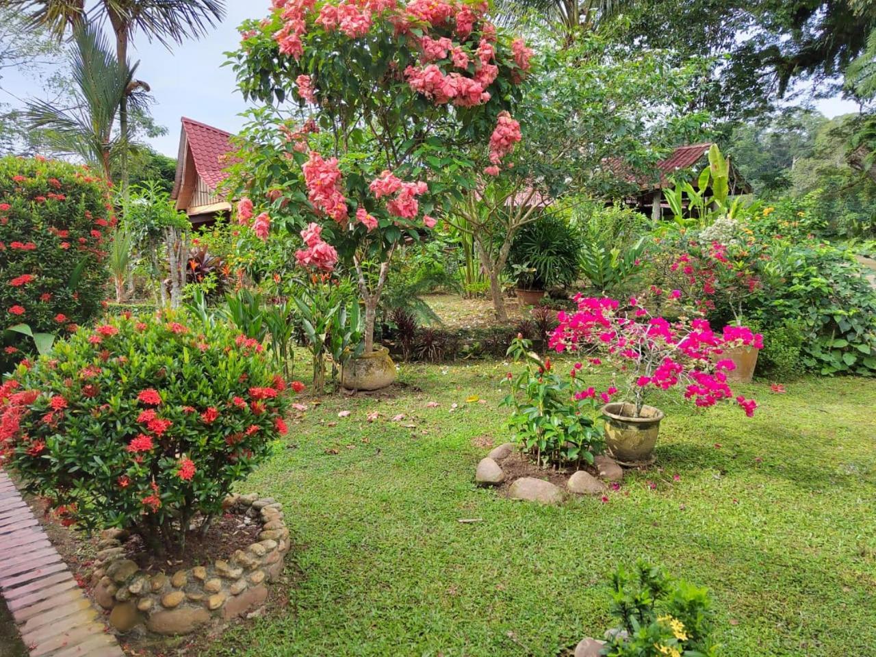 Balai Serama Guesthouse Kuala Tahan Exterior photo