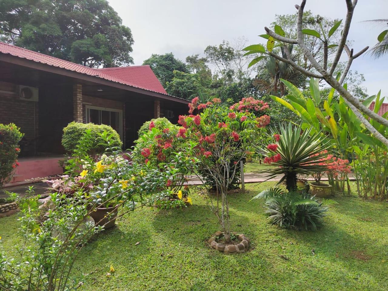 Balai Serama Guesthouse Kuala Tahan Exterior photo