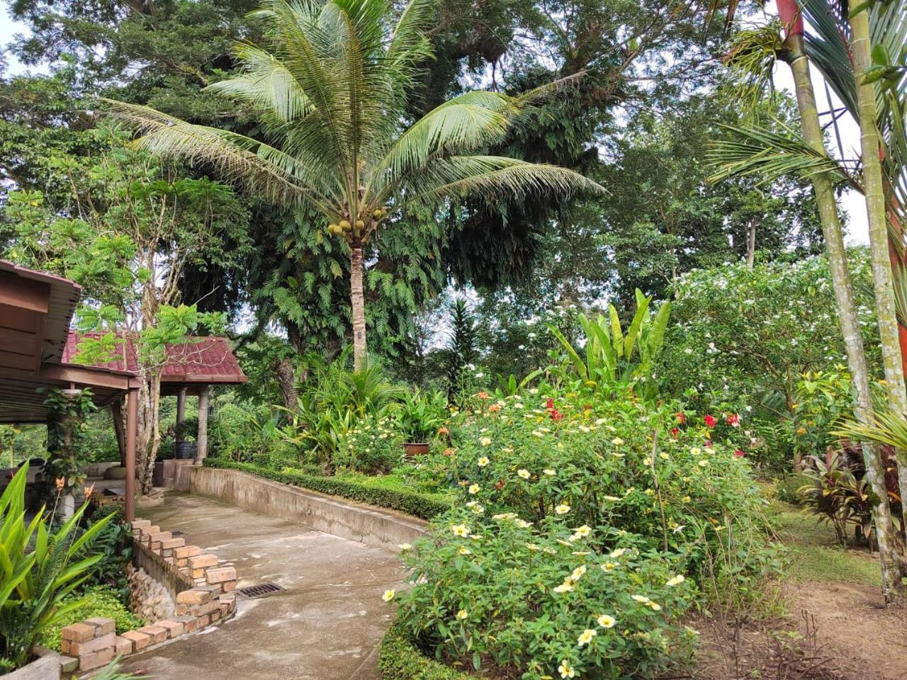 Balai Serama Guesthouse Kuala Tahan Exterior photo