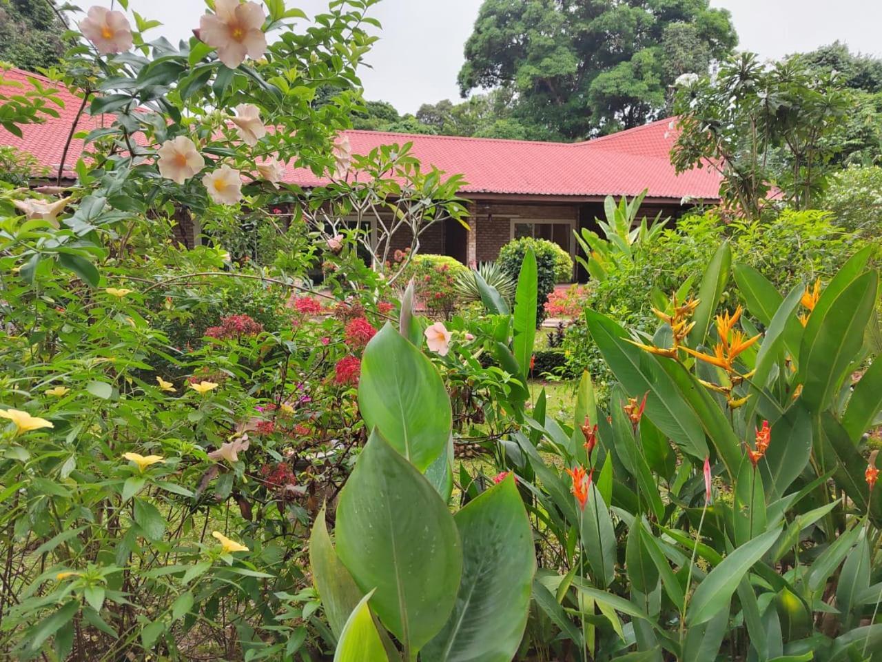 Balai Serama Guesthouse Kuala Tahan Exterior photo