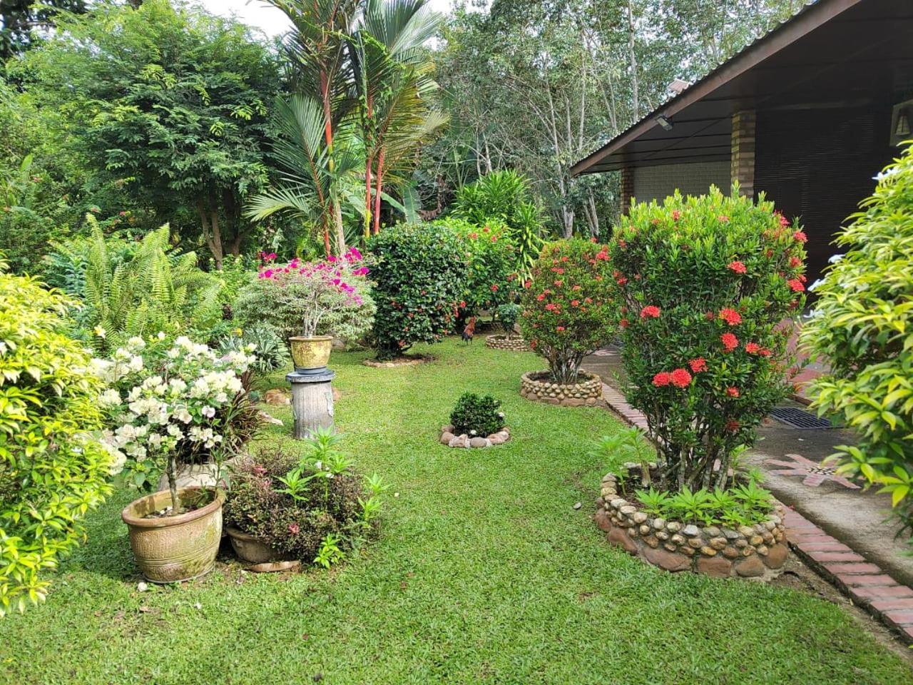 Balai Serama Guesthouse Kuala Tahan Exterior photo