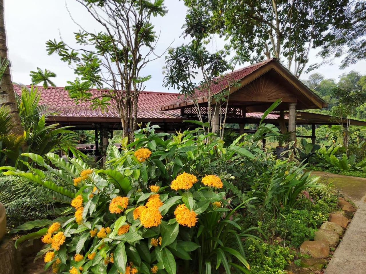 Balai Serama Guesthouse Kuala Tahan Exterior photo